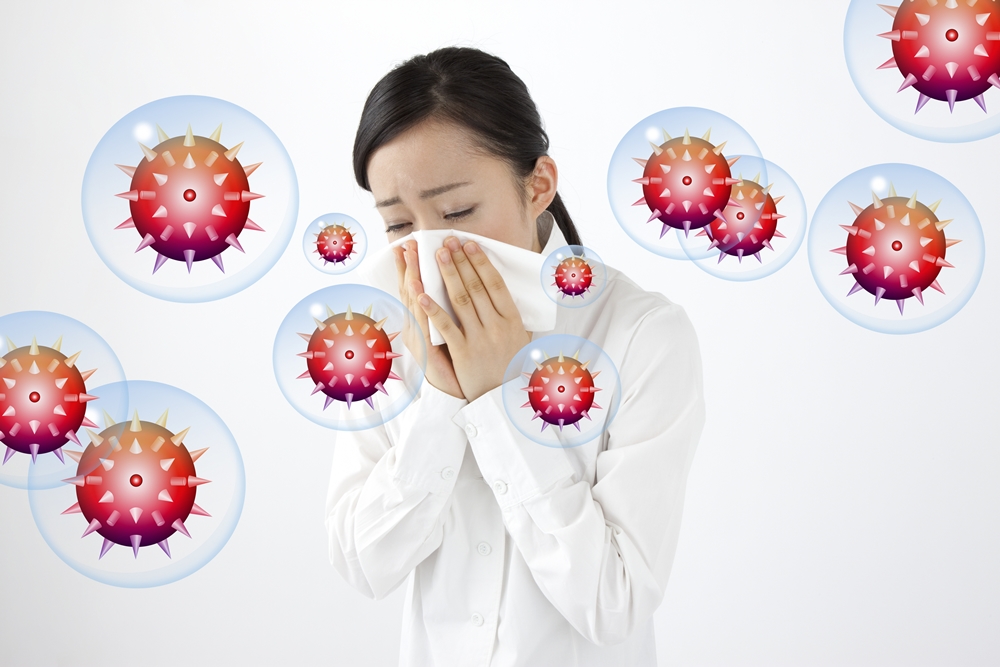 ไข้หวัดใหญ่ (Influenza)